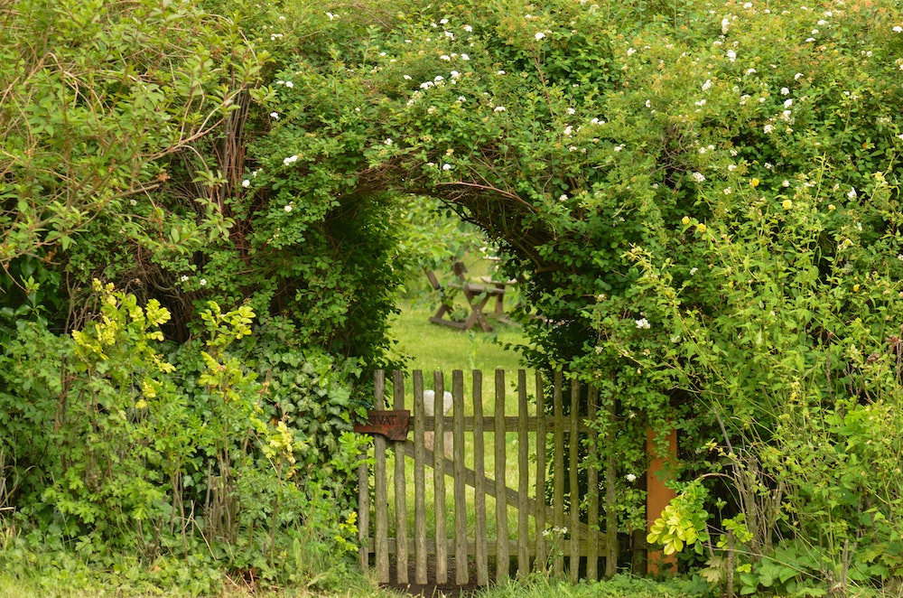 Clôture de jardin : un élément à la fois esthétique et pratique