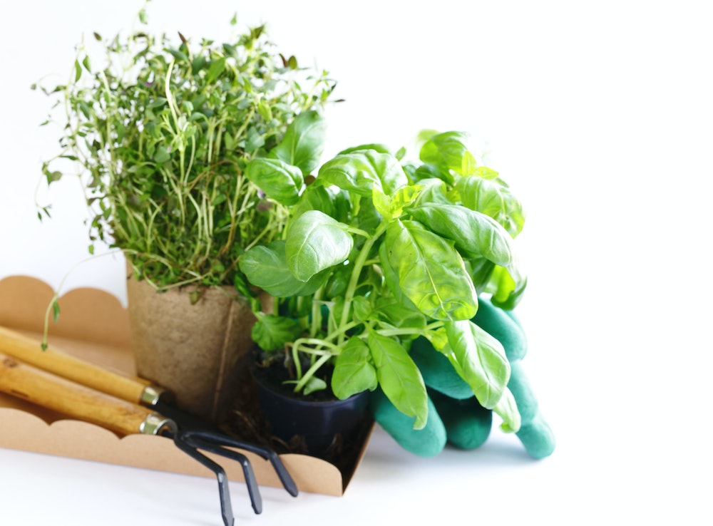 Soyez prêt pour la vente : comment préparer et entretenir votre jardin pour le marché immobilier