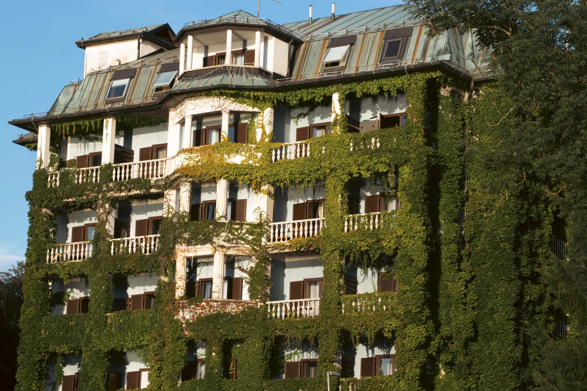 Révolution verte : L'immobilier durable redéfinit l'habitat en 2024
